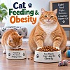Cat Feeding and Obesity